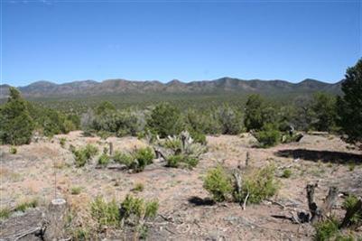 14 Raindance Road, Sandia Park, NM 87047