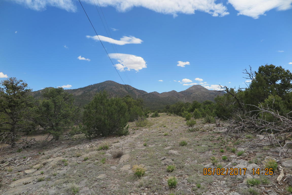 59 Ranchitos Road, Sandia Park, NM 87047