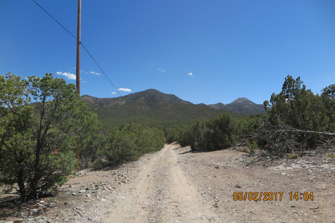59 Ranchitos Road, Sandia Park, NM 87047