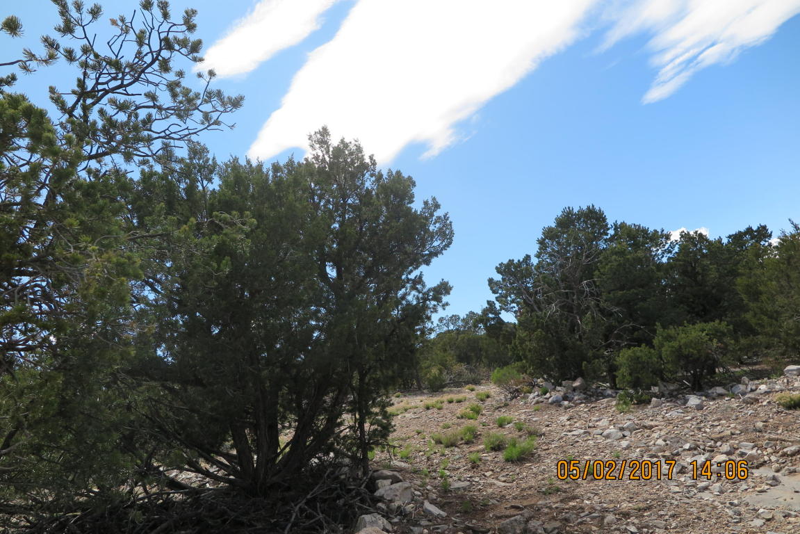 59 Ranchitos Road, Sandia Park, NM 87047