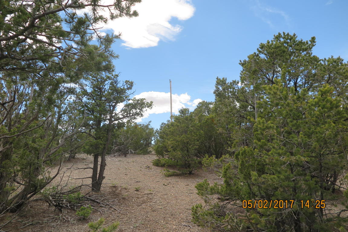 59 Ranchitos Road, Sandia Park, NM 87047