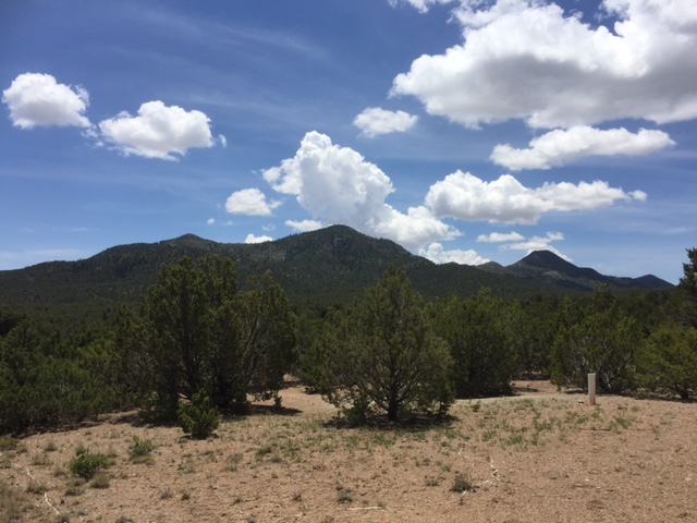 44B Ranchitos Rd, Sandia Park, NM 87047