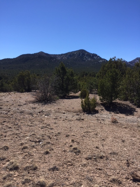 44B Ranchitos Rd, Sandia Park, NM 87047