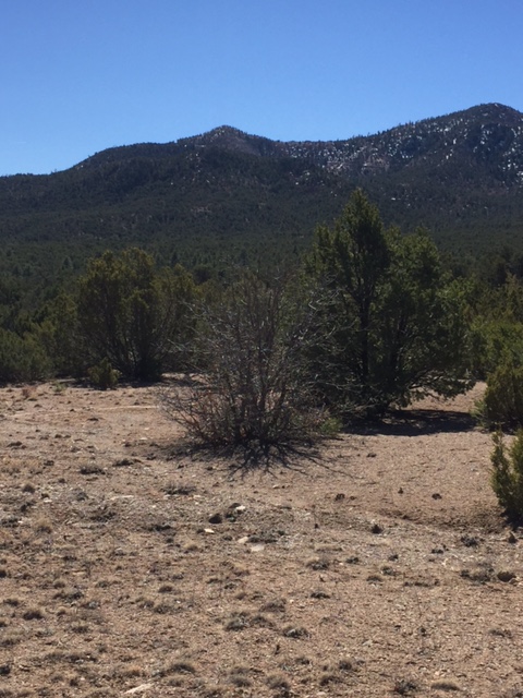 44B Ranchitos Rd, Sandia Park, NM 87047