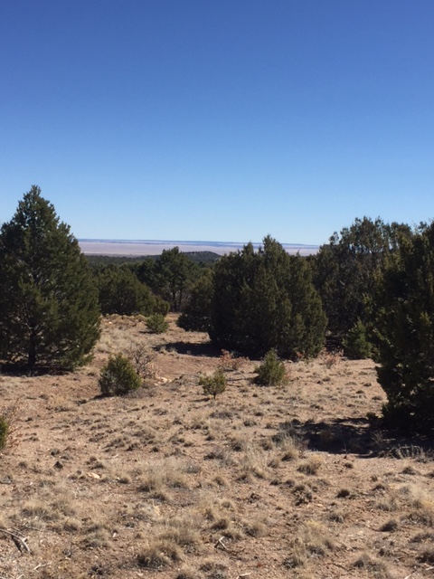 44B Ranchitos Rd, Sandia Park, NM 87047