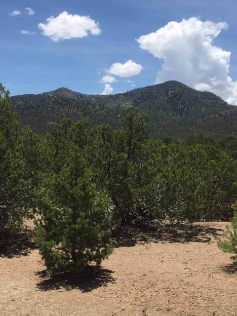 44B Ranchitos Rd, Sandia Park, NM 87047