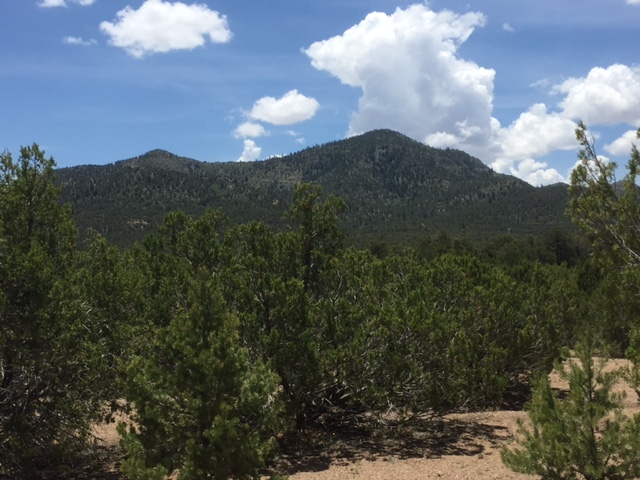 44B Ranchitos Rd, Sandia Park, NM 87047