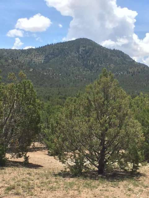 44B Ranchitos Rd, Sandia Park, NM 87047