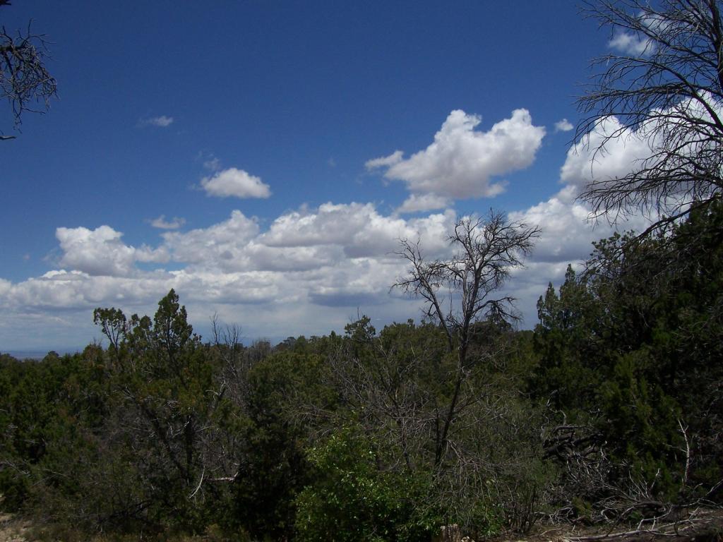 0 Skyline Place, Sandia Park, NM 87047