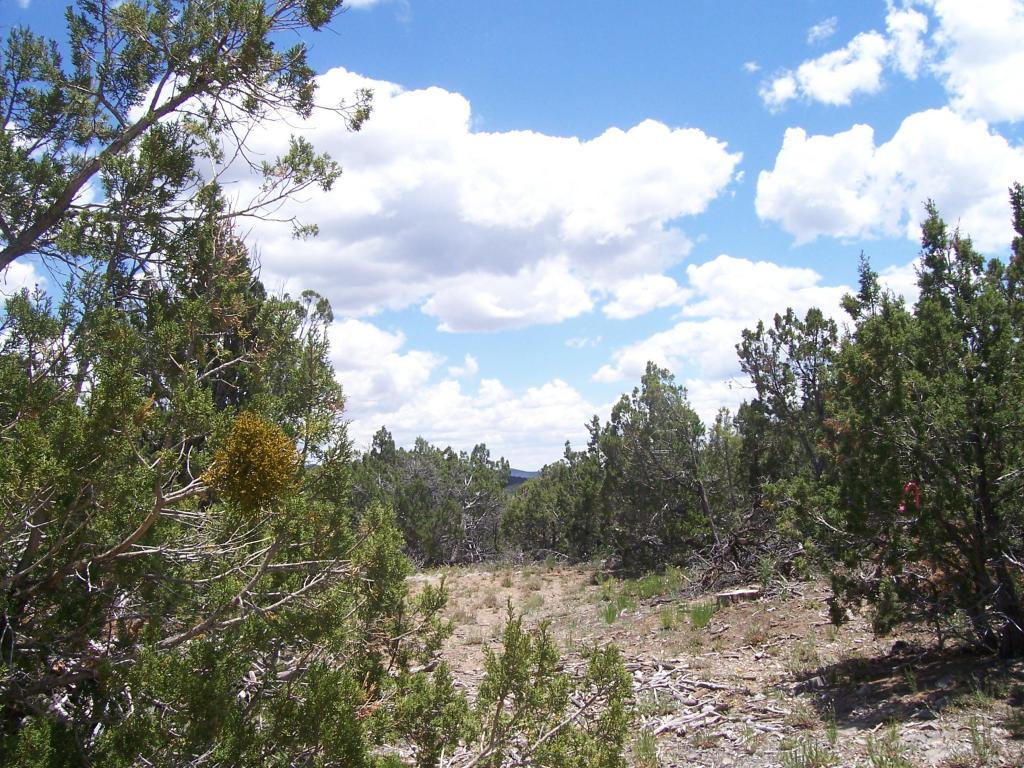 0 Skyline Place, Sandia Park, NM 87047