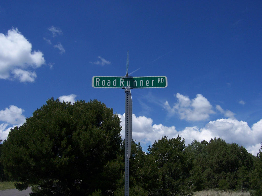 10 Roadrunner Road, Tijeras, NM 87059