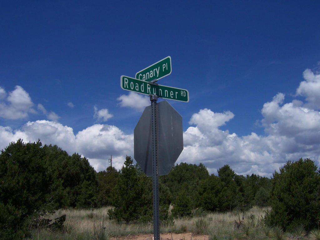 14 Roadrunner Road, Tijeras, NM 87059