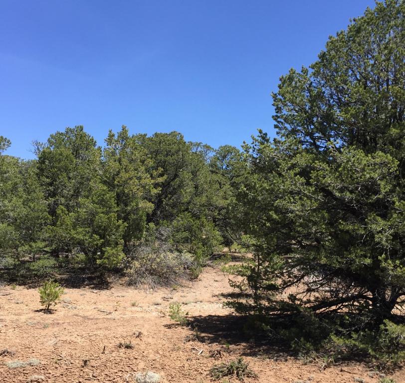 47 San Pedro View, Tijeras, NM 87059