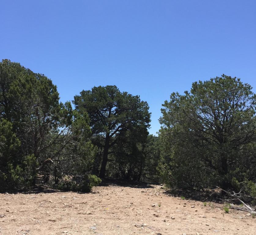 47 San Pedro View, Tijeras, NM 87059