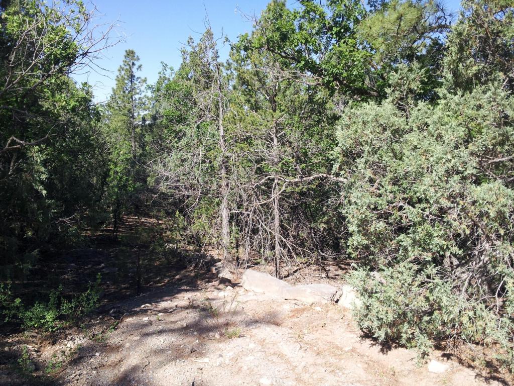62 Big Dipper Road, Tijeras, NM 87059