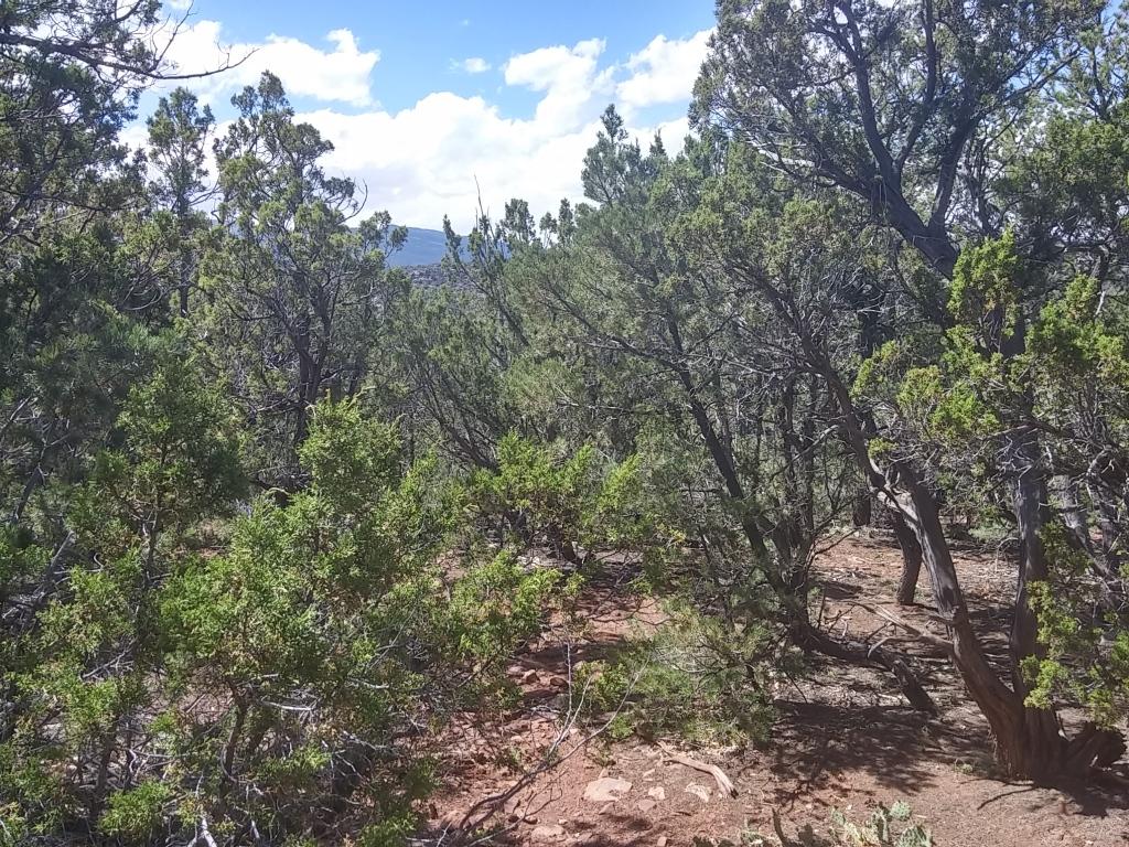 0 Hobart Road, Tijeras, NM 87059