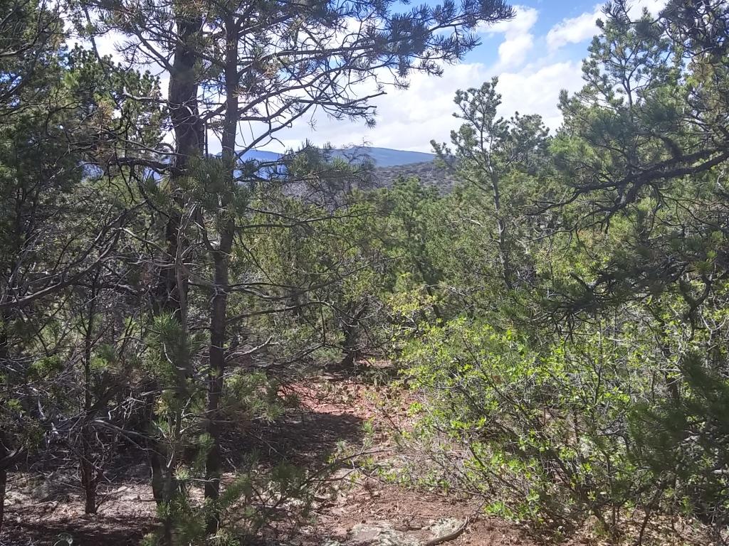 0 Hobart Road, Tijeras, NM 87059