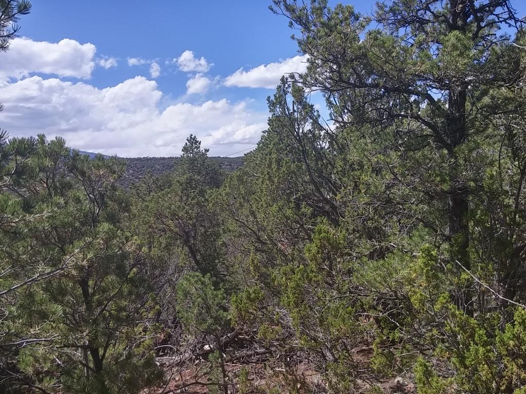 0 Hobart Road, Tijeras, NM 87059
