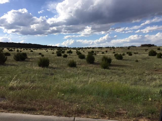 67 Bolivar Loop, Tijeras, NM 87059