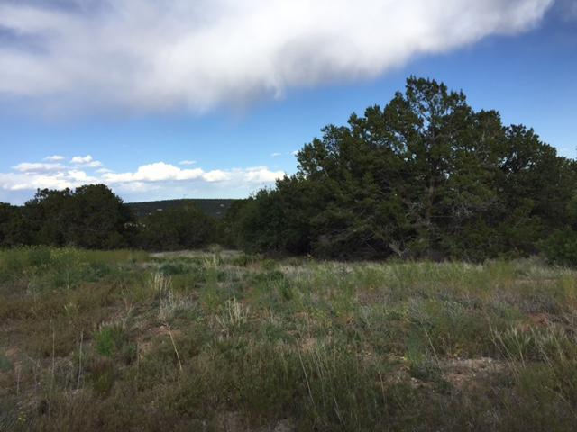 2 Bolivar Loop, Tijeras, NM 87059