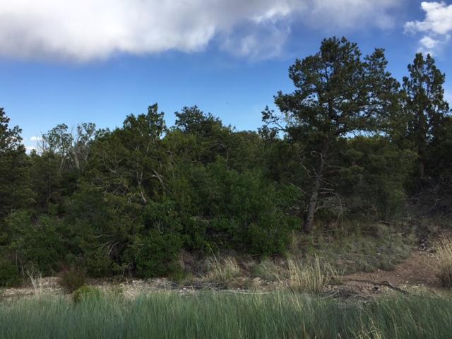 6 Bolivar Loop, Tijeras, NM 87059