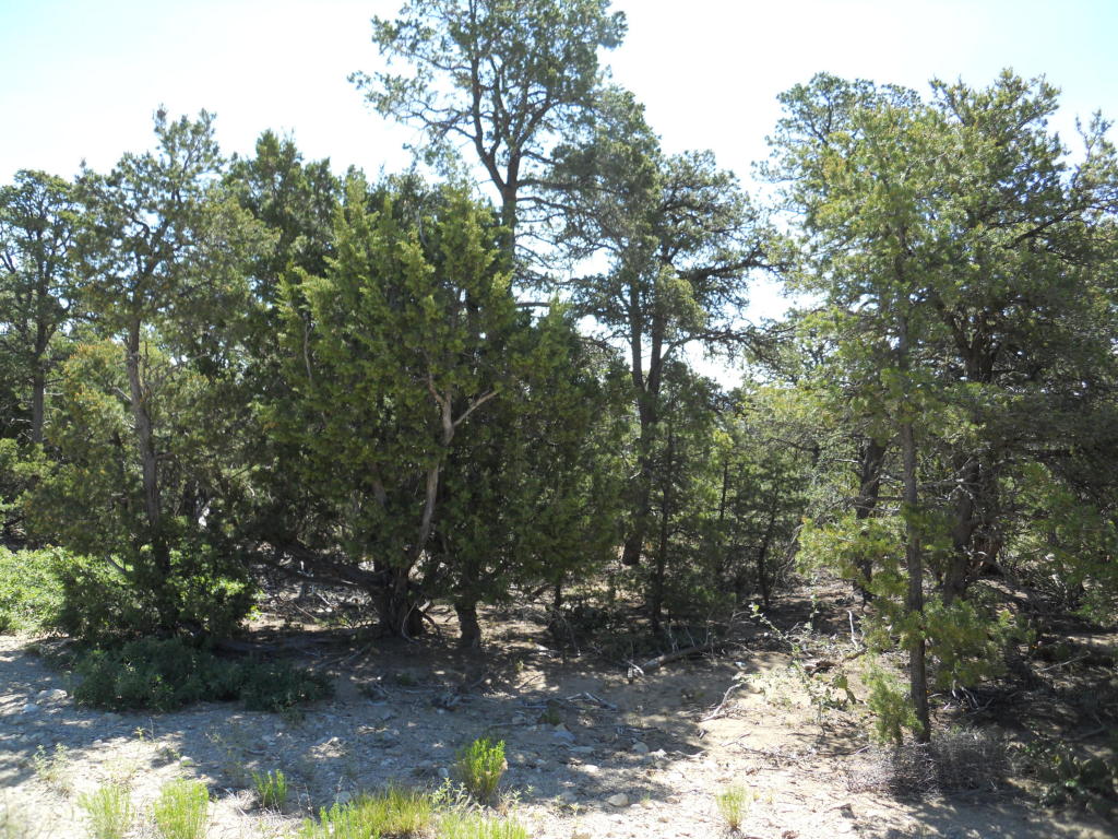 8 Cresta Vista Court, Tijeras, NM 87059