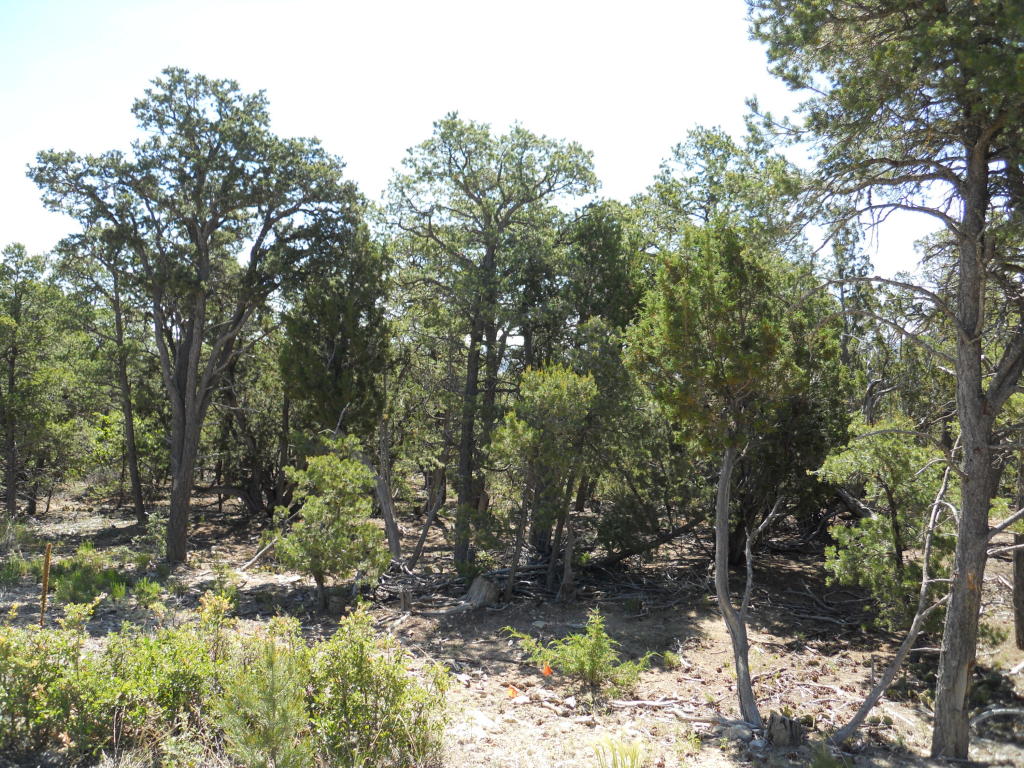 8 Cresta Vista Court, Tijeras, NM 87059