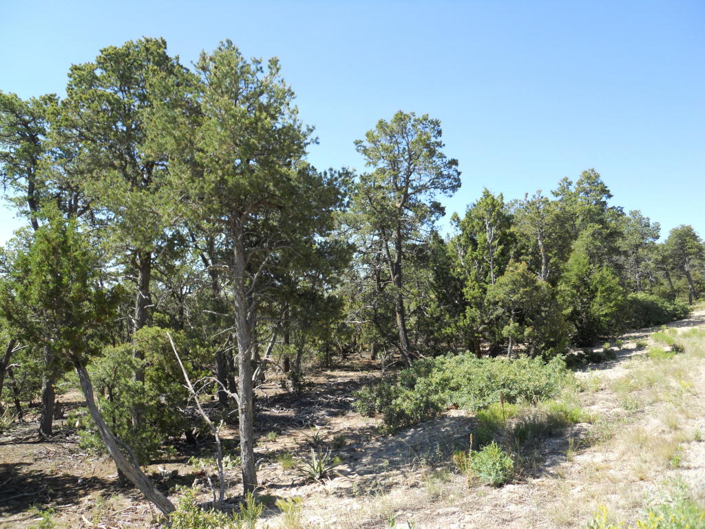 8 Cresta Vista Court, Tijeras, NM 87059