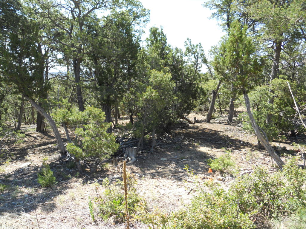 8 Cresta Vista Court, Tijeras, NM 87059