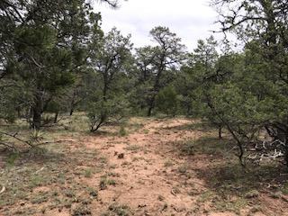534 Juan Tomas Road, Tijeras, NM 87059