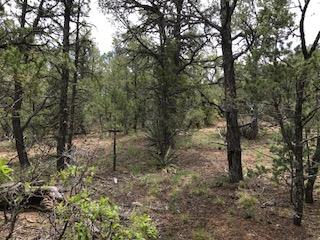 534 Juan Tomas Road, Tijeras, NM 87059