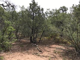 534 Juan Tomas Road, Tijeras, NM 87059