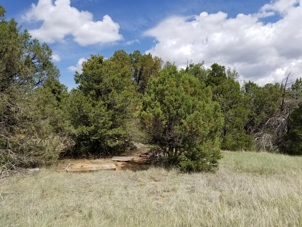 38 Bearcat Road, Tijeras, NM 87059