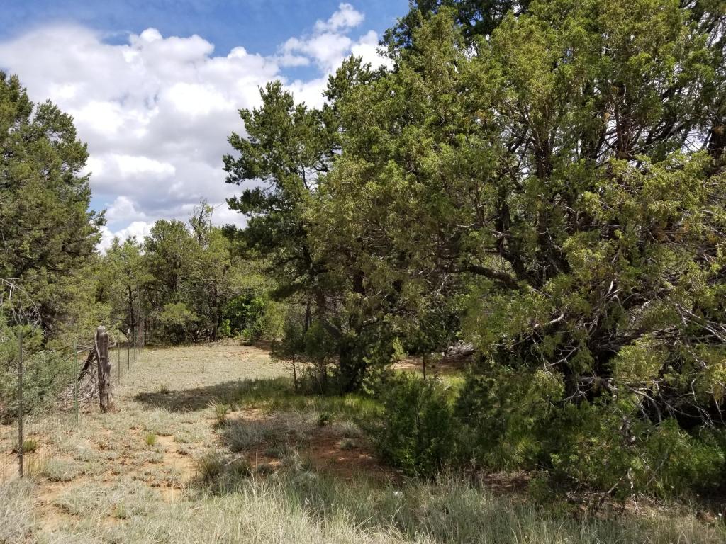 38 Bearcat Road, Tijeras, NM 87059