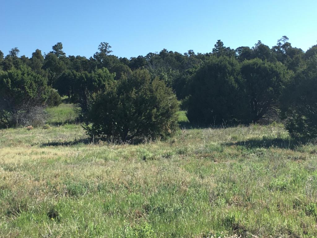 Sierra Farm Rd & Sierra Rose Lane, Tijeras, NM 87059