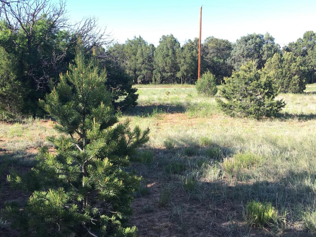 Sierra Farm Rd & Sierra Rose Lane, Tijeras, NM 87059