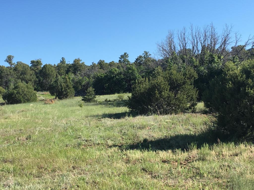 Sierra Farm Rd & Sierra Rose Lane, Tijeras, NM 87059