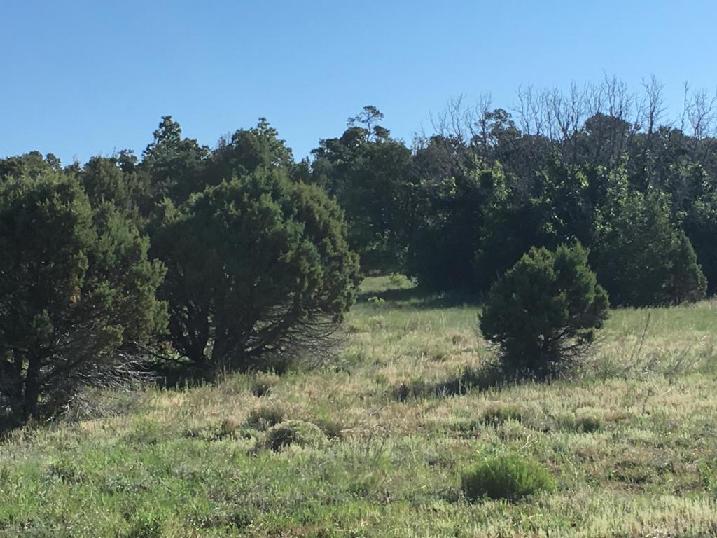 Sierra Farm Rd & Sierra Rose Lane, Tijeras, NM 87059