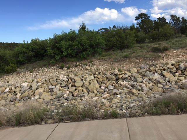62 Bolivar Loop, Tijeras, NM 87059