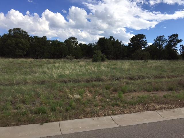 58 Bolivar Loop, Tijeras, NM 87059
