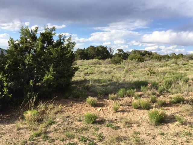 34 Bolivar Loop, Tijeras, NM 87059