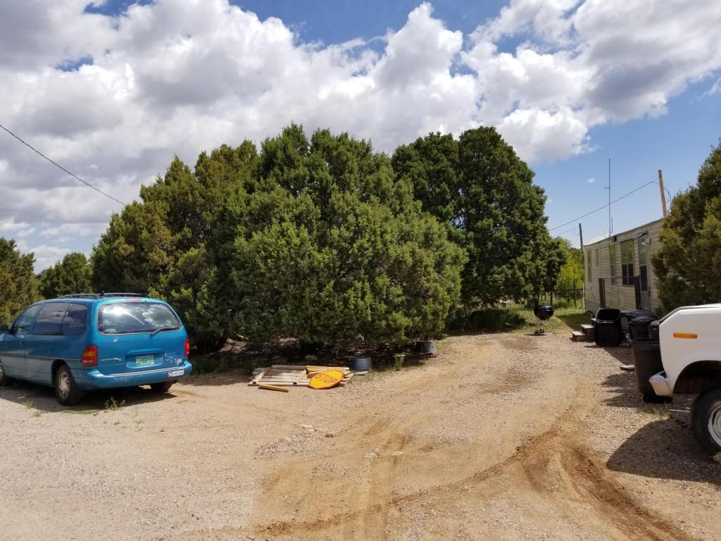 38 Bearcat Road, Tijeras, NM 87059