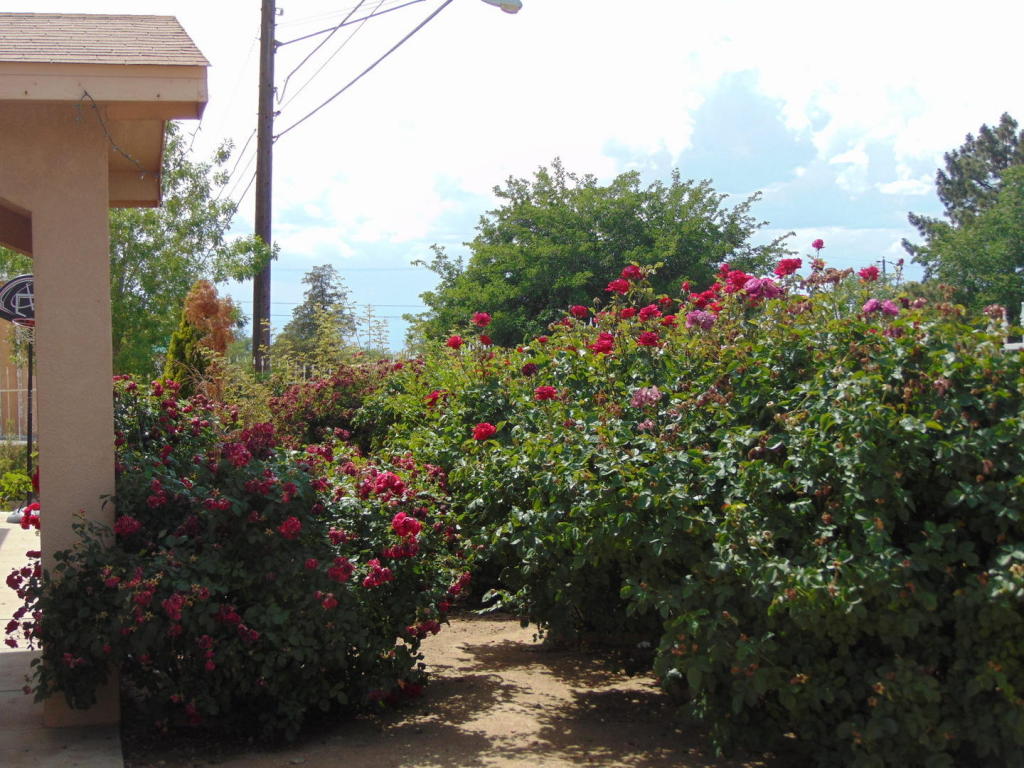 8104 Bell Avenue SE, Albuquerque, NM 87108