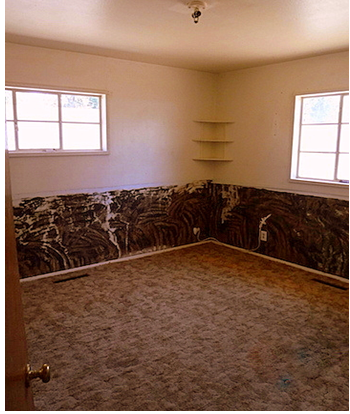 4102 Comanche Road NEAlbuquerque, NM, 87110Bernalillo County