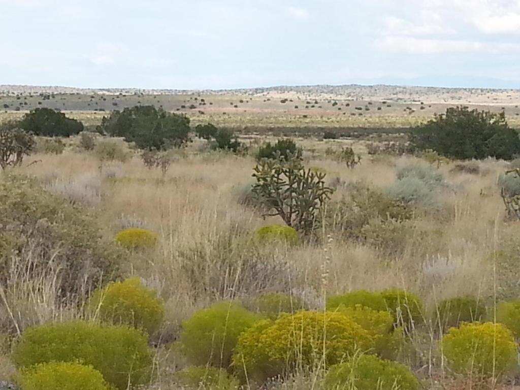 4 Lots Unit 9 - 4 Lots - 5.06Acres SW, Rio Rancho, NM 87124