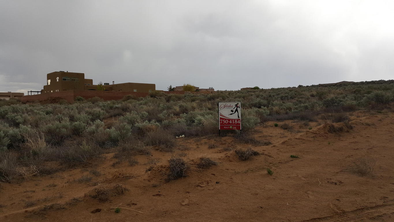 CHETAH NE, Rio Rancho, NM 87124