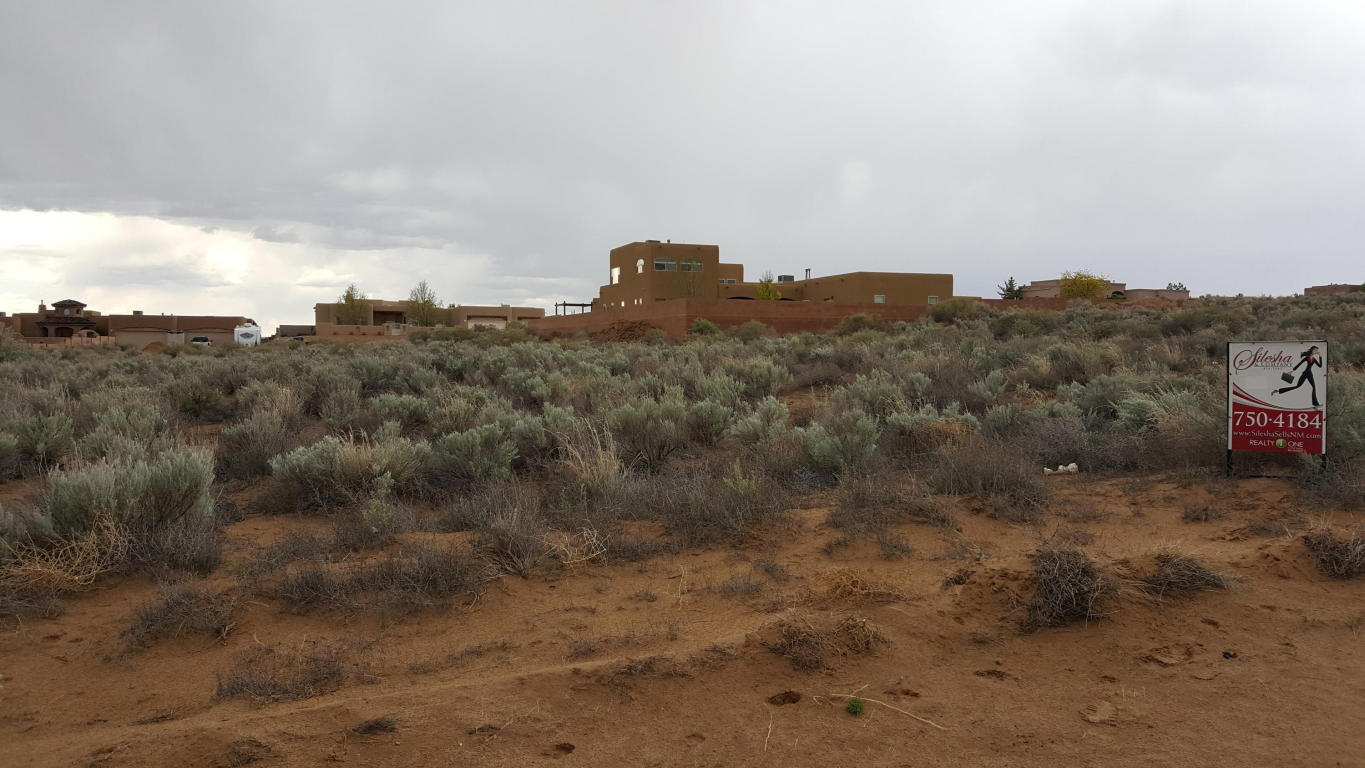 CHETAH NE, Rio Rancho, NM 87124