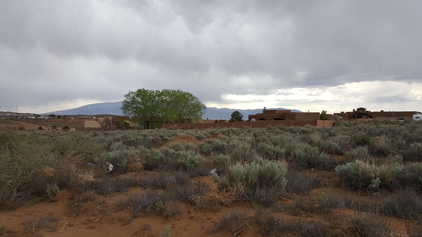 CHETAH NE, Rio Rancho, NM 87124