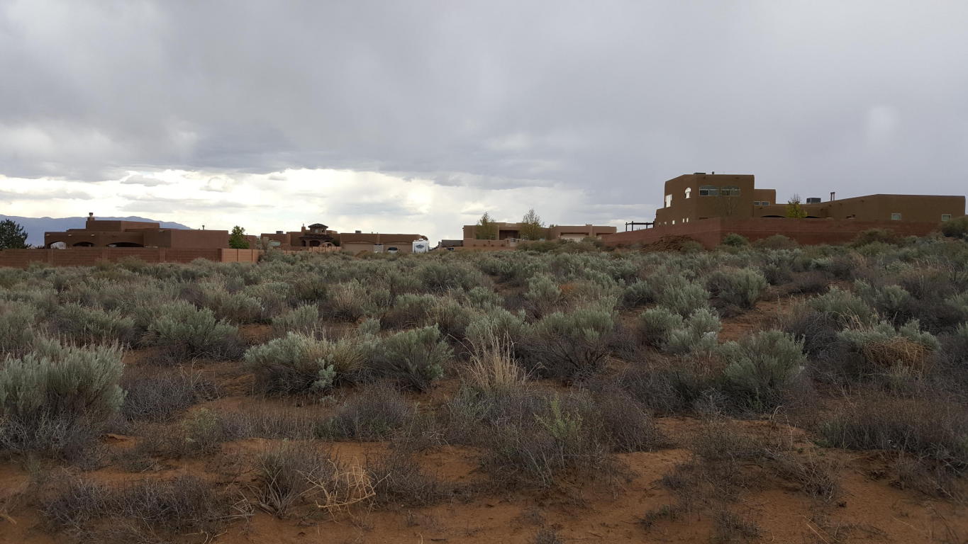 CHETAH NE, Rio Rancho, NM 87124