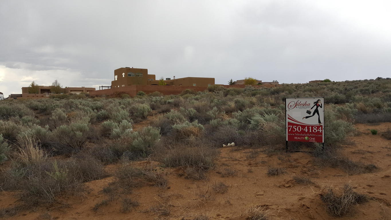 CHETAH NE, Rio Rancho, NM 87124